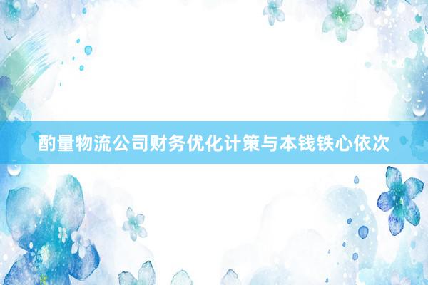 酌量物流公司财务优化计策与本钱铁心依次