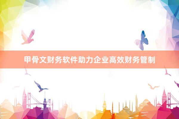甲骨文财务软件助力企业高效财务管制