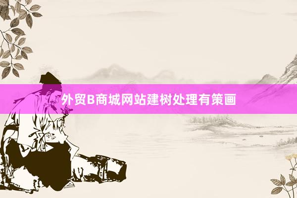 外贸B商城网站建树处理有策画