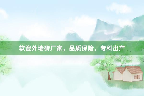 软瓷外墙砖厂家，品质保险，专科出产