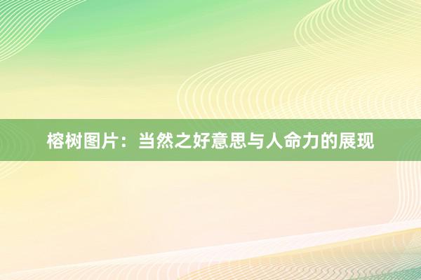榕树图片：当然之好意思与人命力的展现