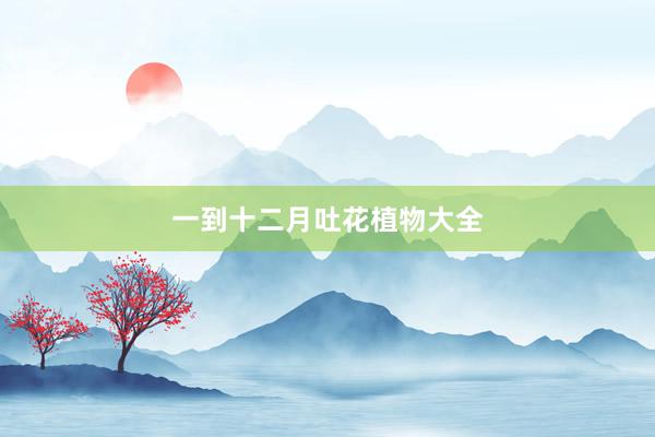 一到十二月吐花植物大全